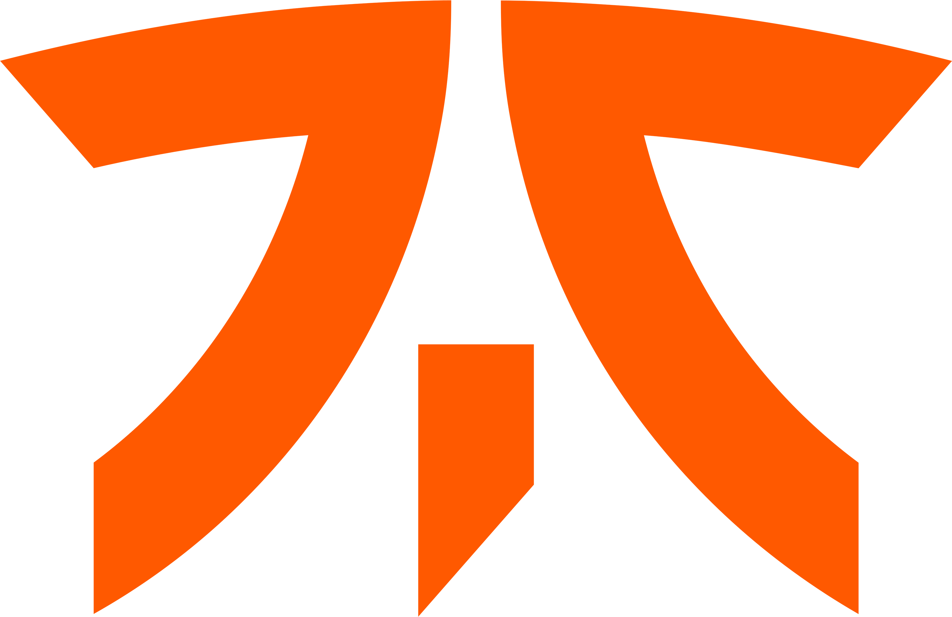 FNATIC logo